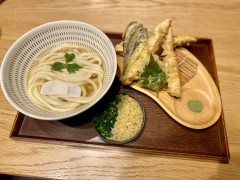 かしわ天うどん.jpeg
